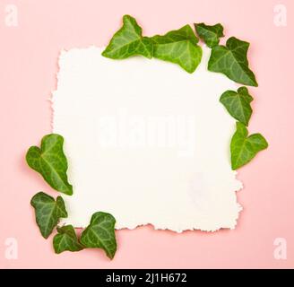 Craft paper blank note with the green leaves Stock Photo