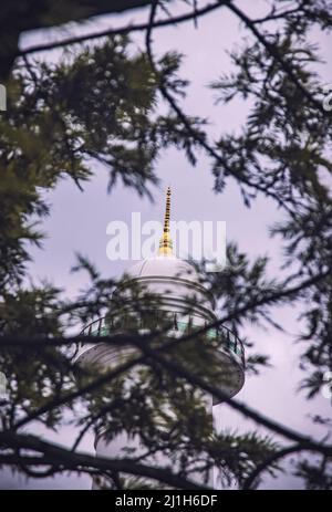 A view of a beacon through the tree twigs, the area of Shahid Gate, Kathmandu, Nepal, Asia Stock Photo