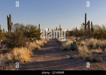 Hiking trail through the desert Stock Photo