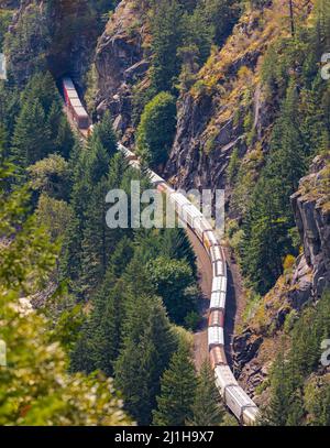 Train passes through a mountain. Freight train on a railway line on a mountain pass. Train passing through the woods, aerial view. Cargo train with fu Stock Photo
