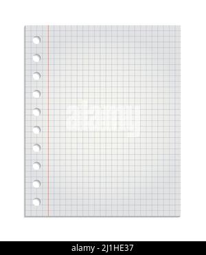 Realistic sheet of squared paper from a exercise book, paper torn from the pad blank Stock Photo