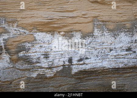 Abstract background from old and dirty concrete texture Stock Photo