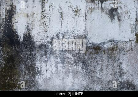Close up of old grey and white weathered cement wall texture background Stock Photo