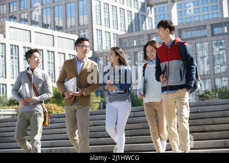 The teacher and the student walking and talking Stock Photo - Alamy