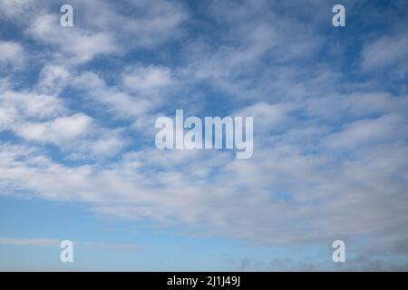 View to sky with fleecy clouds Stock Photo