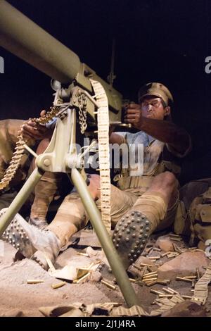 New Zealand, Wellington - January 11 2020: the view of Gallipoli exhibition, Te Papa Museum on January 11 2020 in Wellington, New Zealand. Stock Photo