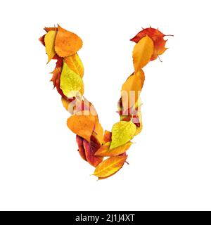 3d alphabet made of leaves, autumn, 3d render on white background, uppercase letter V Stock Photo