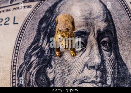 figurine of a pit bull terrier on a portrait of Benjamin Franklin on a dollar bill. High quality photo Stock Photo