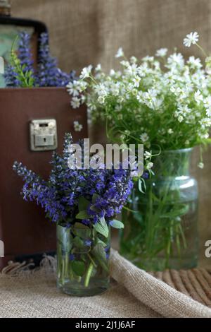 Bouquets of forest blue and white flowers in glass vases on the background of an old brown leather wardrobe trunk Stock Photo