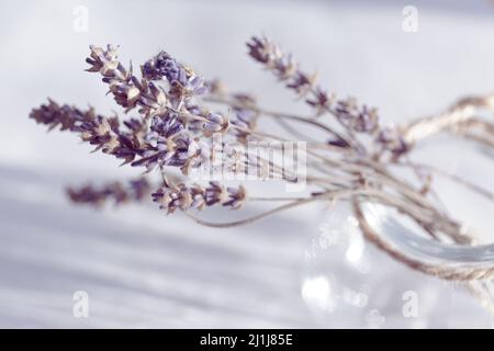 Dried purple lavender in a glass bottle with twine and with light highlights. A small bouquet of dry flowers. Top view Stock Photo