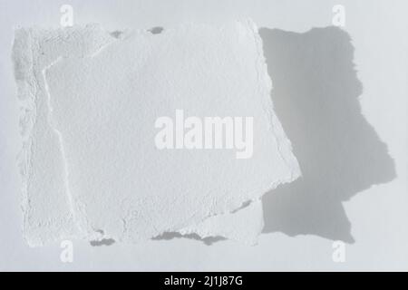 Two pieces of torn white paper on a light background. The scraps paper page is isolated Stock Photo