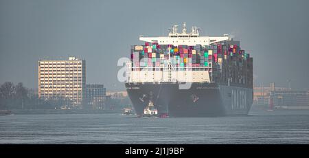 Hamburg, Germany. 25th Mar, 2022. The container ship CMA CGM Antoine de Saint Exupery of the French shipping company CMA CGM enters the Port of Hamburg in light morning fog. Credit: Markus Scholz/dpa/Alamy Live News Stock Photo