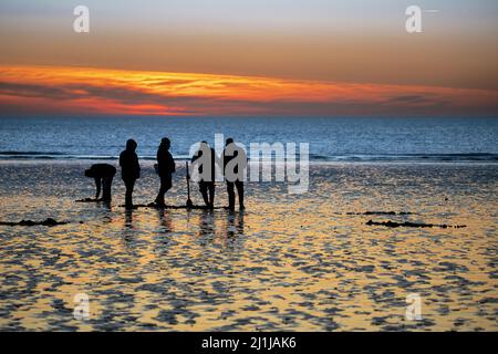 Pêcheurs à crevettes en bord de mer ,Ault Onival, Baie de Somme Stock Photo