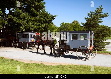 Amish buggies, grey, black, horses, transportation, quaint, non-motor, parking lot, Pennsylvania, Lancaster Co., PA Stock Photo