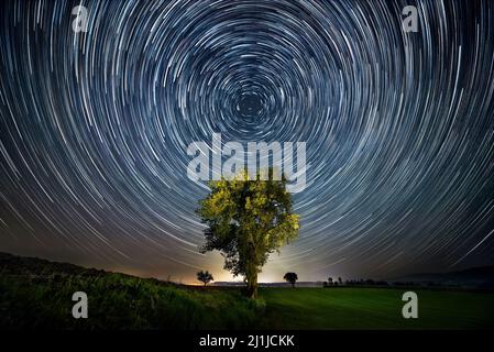 Night sky over lone tree with circular star trails, centered and symmetrical composition Stock Photo