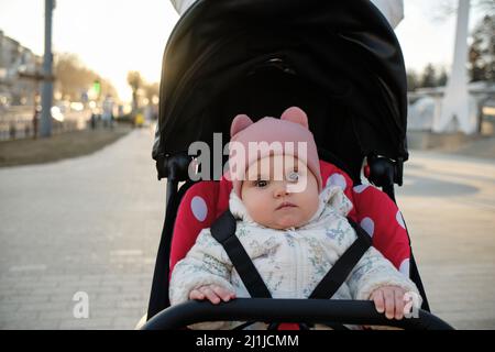 Baby in stroller on a walk in summer park. Adorable little boy in checkered shirt sitting in blue pushchair. Stock Photo