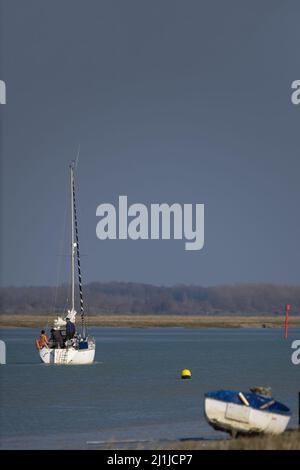 Borde de mer, goéland dans le chenal de la baie de Somme Stock Photo