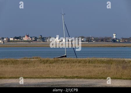 Borde de mer, goéland dans le chenal de la baie de Somme Stock Photo