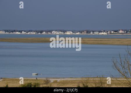 Borde de mer, goéland dans le chenal de la baie de Somme Stock Photo