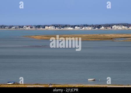 Borde de mer, goéland dans le chenal de la baie de Somme Stock Photo