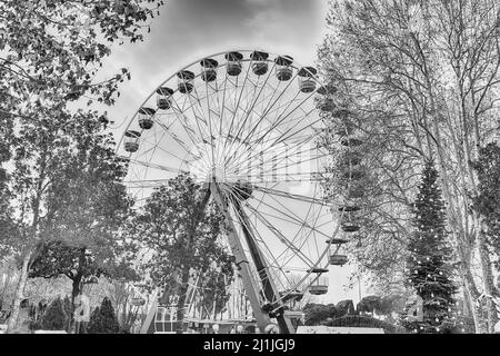 Ferris Wheel surrounded by trees inside an amusement park Stock Photo