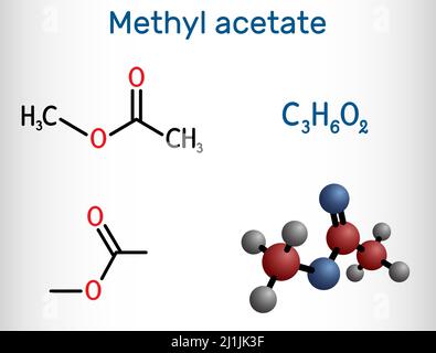 Methyl acetate, methyl ethanoate molecule. It is acetate ester, solvent. Structural chemical formula and molecule model. Vector illustration Stock Vector