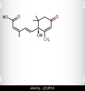 Abscisic acid, ABA molecule. It is dormin, plant hormone. Structural formula, molecule model. Vector illustration Stock Vector