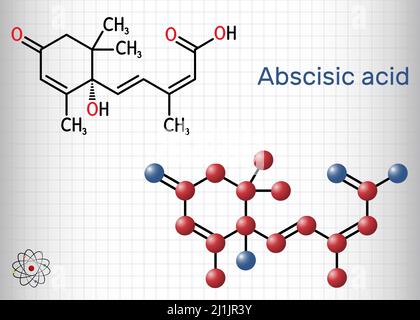 Abscisic acid, ABA molecule. It is dormin, plant hormone. Structural formula, molecule model. Sheet of paper in a cage. Vector illustration Stock Vector