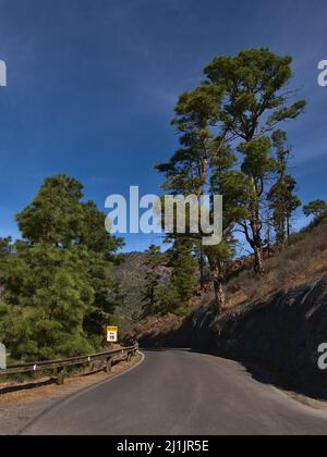 View of narrow country road GC-605 in the mountains north of village Mogan in southern Gran Canaria island, Spain on sunny day with green pine trees. Stock Photo
