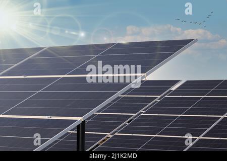 Solar panel on sky background. Beautiful solar farm. Stock Photo