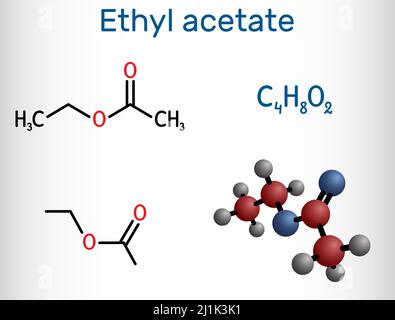 Ethyl acetate, ethyl ethanoate, C4H8O2 molecule. It is acetate ester formed between acetic acid and ethanol. Structural chemical formula and molecule Stock Vector