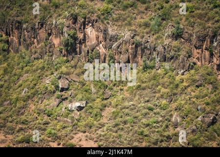 Aerial view of the so-called 'Baboon Cliffs', a steeply sloping ridge of the Great Rift Valley southwest of Nairobi, Kenya, East Africa Stock Photo
