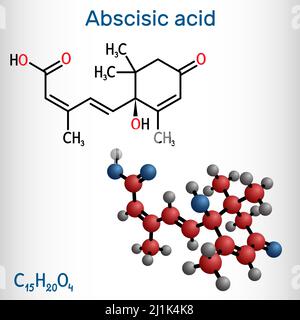 Abscisic acid, ABA molecule. It is dormin, plant hormone. Structural formula, molecule model. Vector illustration Stock Vector