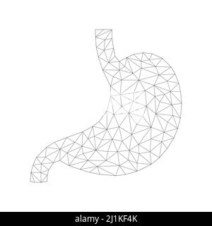 Human stomach with low poly black connected dots. Internal organ with triangular linear shapes. Stock Vector
