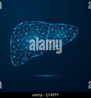 Human liver with low poly glowing connected dots. Internal organ with triangular blue shapes. Stock Vector