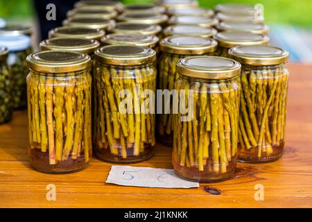 In the village of Akdeniz, which translated means Mediterranean Sea, you get an impression of typical Cypriot country life. 30 percent of the villagers live from green asparagus, the harvest of which lasts for three months Stock Photo