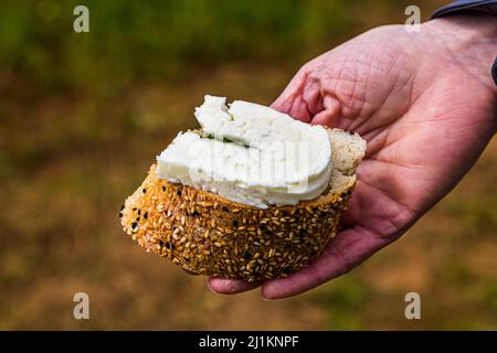 A hand holds a sesame roll topped with a slice of Hellim cheese outdoors near Akdeniz. The cheese can be eaten fresh, but is usually fried in a pan or grilled. Akdeniz (Turkish for "Mediterranean Sea") offers a glimpse of typical Cypriot country life, Turkish Republic of Northern Cyprus (TRNC). Stock Photo