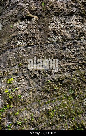 granite texture in outdoor nature. natural wall of rock in day light. abandoned quarry Stock Photo
