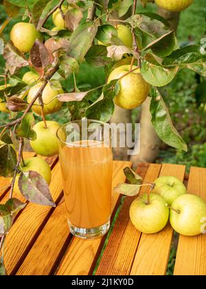 glass of juice and apples in the orchard Stock Photo