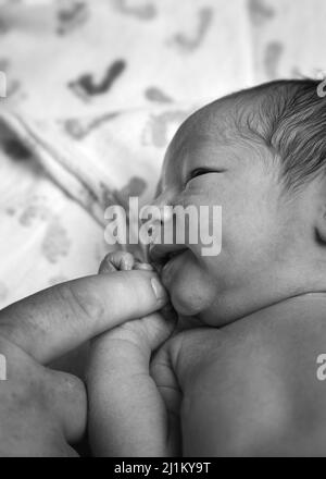 Newborn Baby only Hours Old in the Hospital Stock Photo