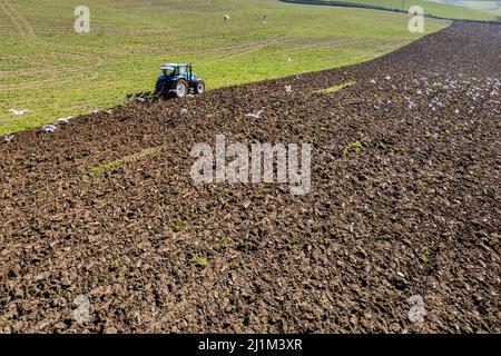 Reenascreena, West Cork, Ireland. 26th Mar, 2022. Reenascreena based farmer, Cian Daly who is in partnership with his grandfather Michael, ploughs a field to plant wheat on a warm, sunny day in West Cork. Cian and Michael farm beef and dairy on 160 acres and Cian was using a New Holland T6050 tractor and Fiskars 5 furrow plough to prepare the field for planting. Credit: AG News/Alamy Live News Stock Photo