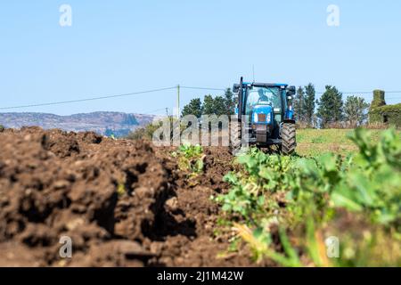 Reenascreena, West Cork, Ireland. 26th Mar, 2022. Reenascreena based farmer, Cian Daly who is in partnership with his grandfather Michael, ploughs a field to plant wheat on a warm, sunny day in West Cork. Cian and Michael farm beef and dairy on 160 acres and Cian was using a New Holland T6050 tractor and Fiskars 5 furrow plough to prepare the field for planting. Credit: AG News/Alamy Live News Stock Photo