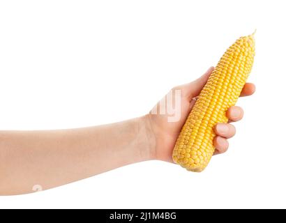 corn in hand path isolated on white Stock Photo