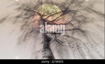 PHOTOGRAPHIC ART: As the sun sets Stock Photo