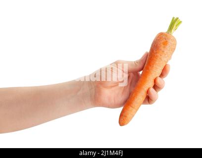 carrot in hand path isolated on white Stock Photo
