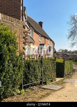 modern red brick housing fronted with black iron railings and green hedges Stock Photo