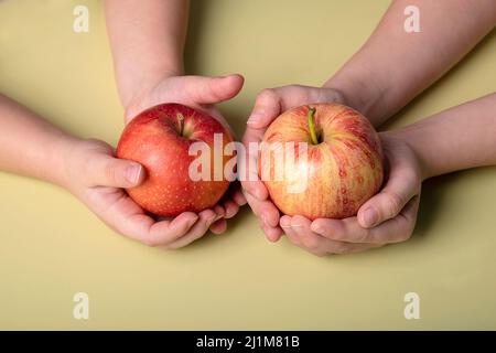 juicy, fresh, red apples in the hands of a child Stock Photo