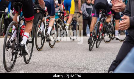 Rear view of a group of unrecognizable road cyclists in full physical effort with the public cheering them on. Stock Photo