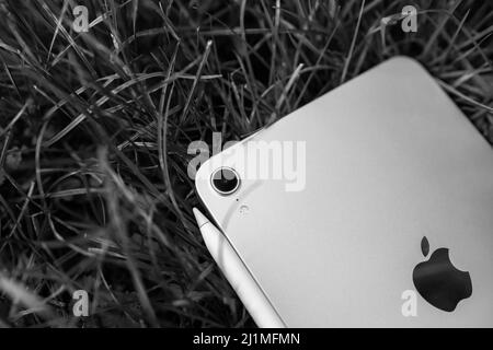 Paris, France - Oct 21, 2021: Close-up of new Apple Computers iPad Mini Pro with Apple pencil charging - blades of grass background - black and white image Stock Photo