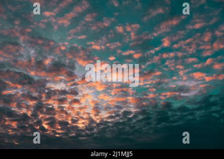 Middle level layered clouds . Altocumulus on the morning sky Stock Photo